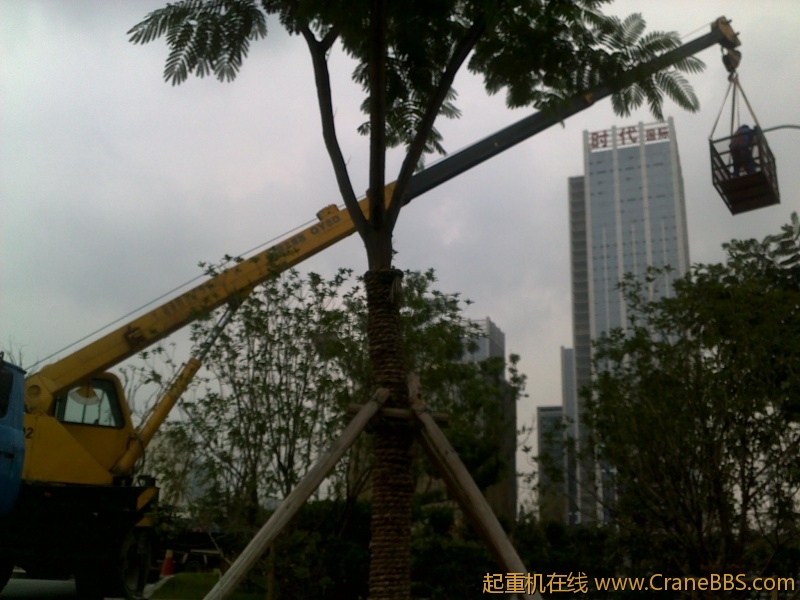20111020535.jpg