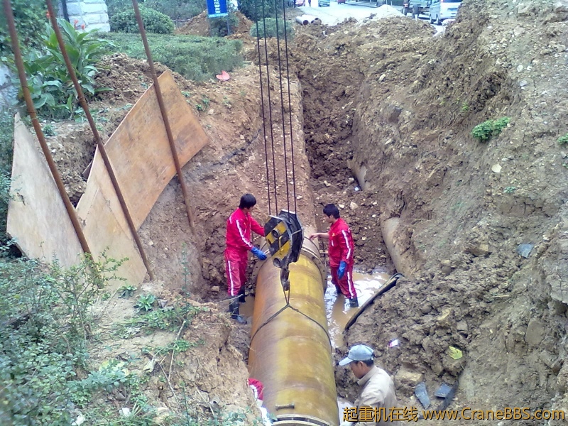 20101026262.jpg