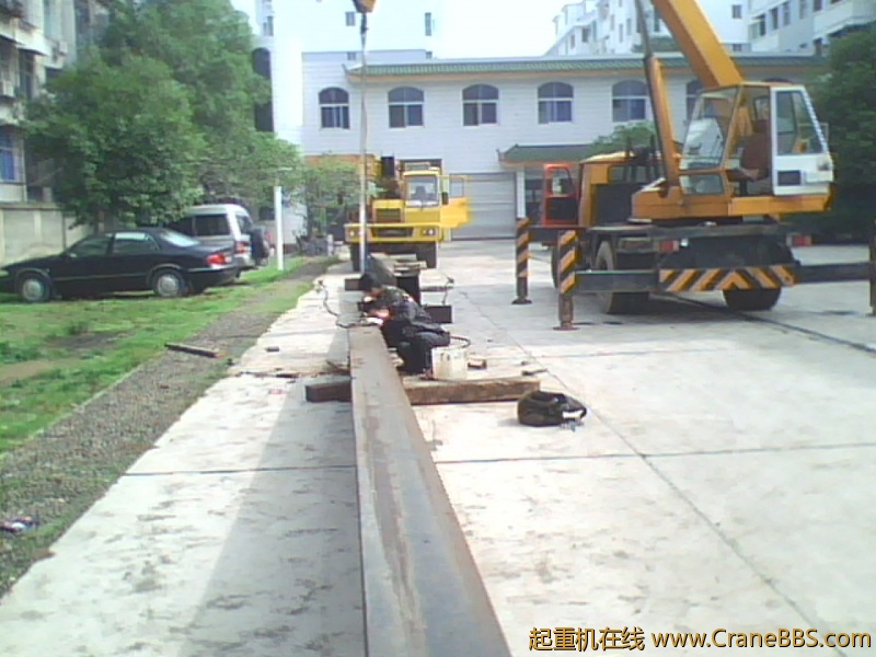 IMG1137A.jpg