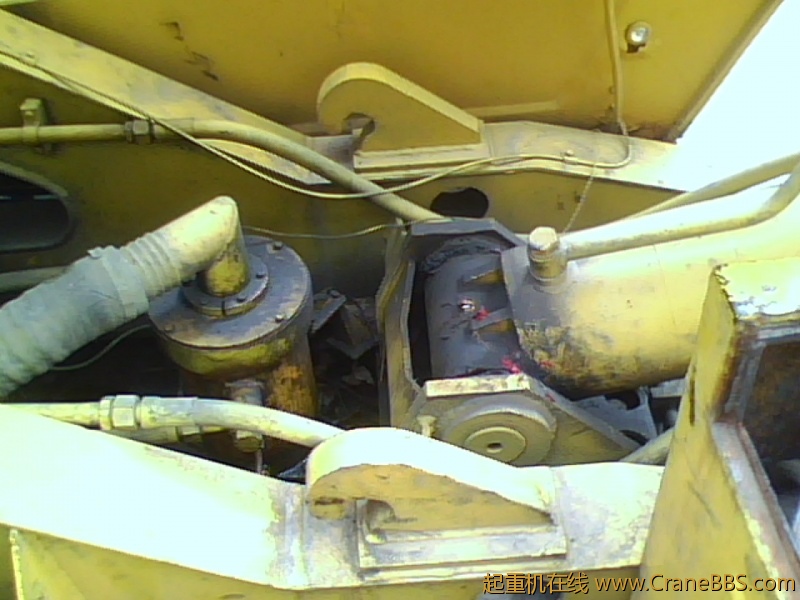 IMG1146A.jpg