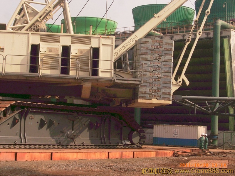 RIMG0700.JPG