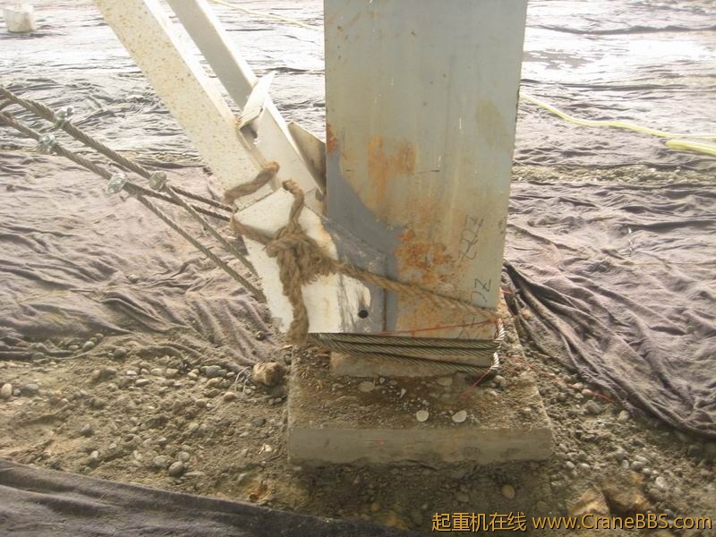 调整大小 IMG_0250.JPG