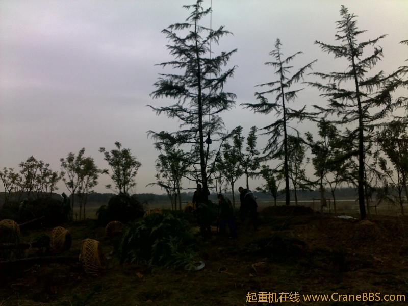 图像074.jpg
