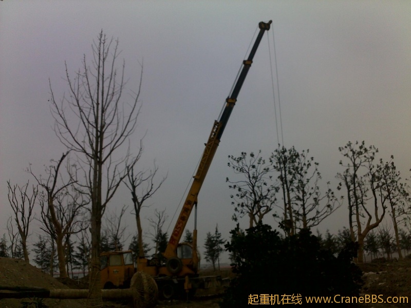 图像083.jpg