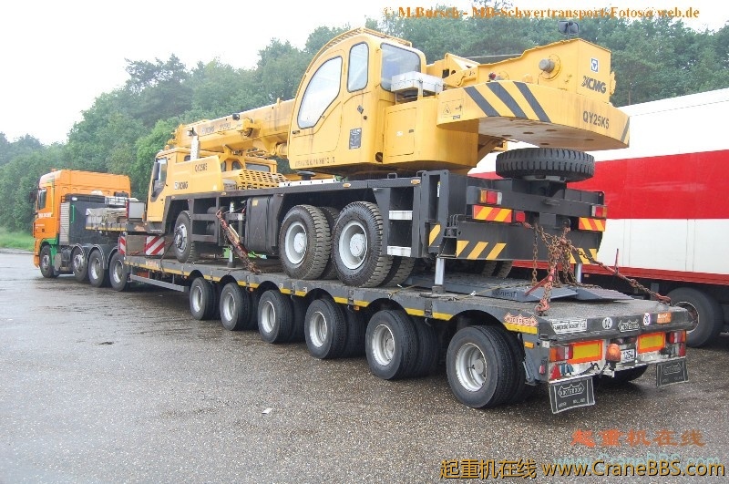 gr33081.jpg
