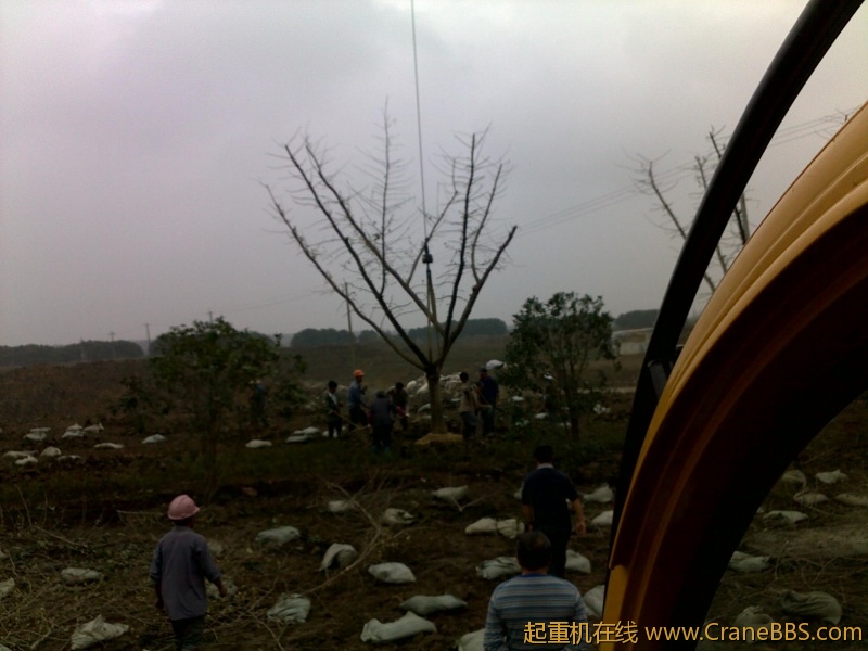 图像095.jpg