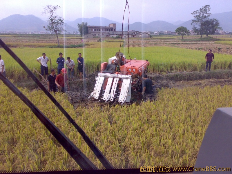 201111041186.jpg