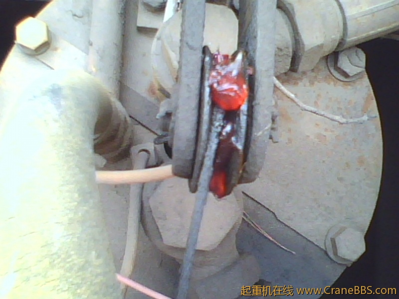 IMG1169A.jpg