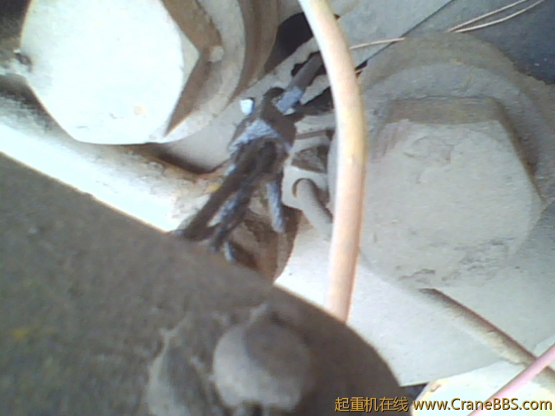 IMG1170A.jpg
