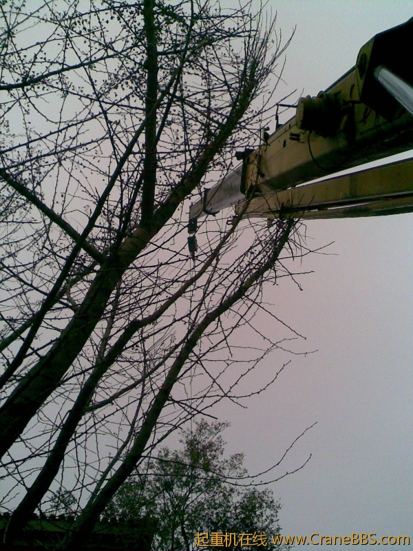 20111105.jpg