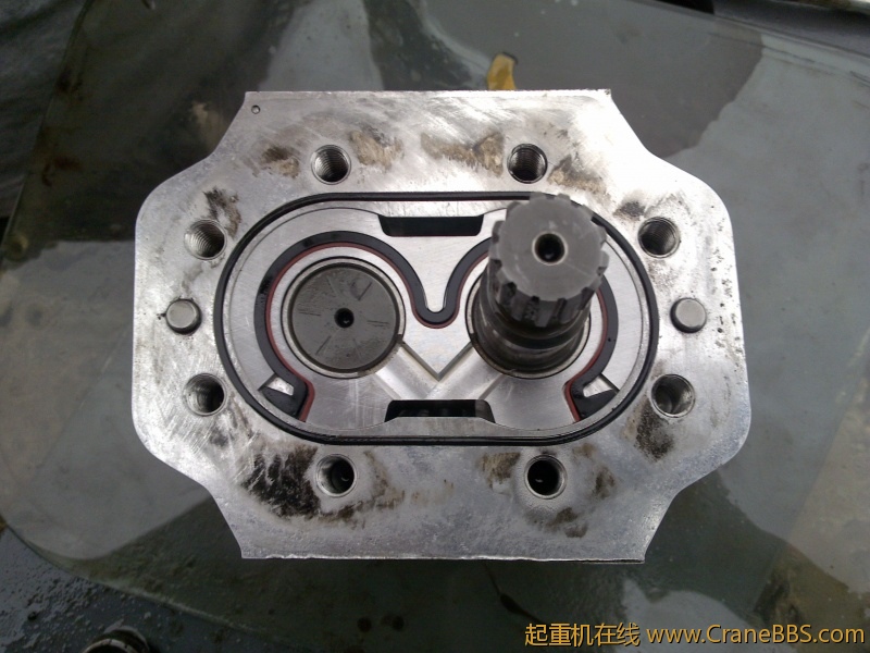 20110602091.jpg