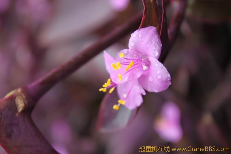 调整大小 IMG_5148.JPG