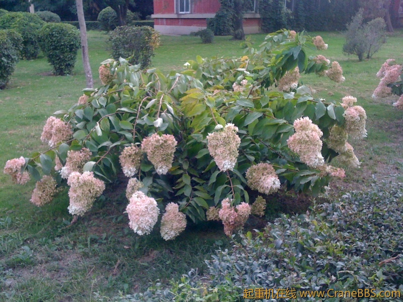 手机照片 4959.jpg