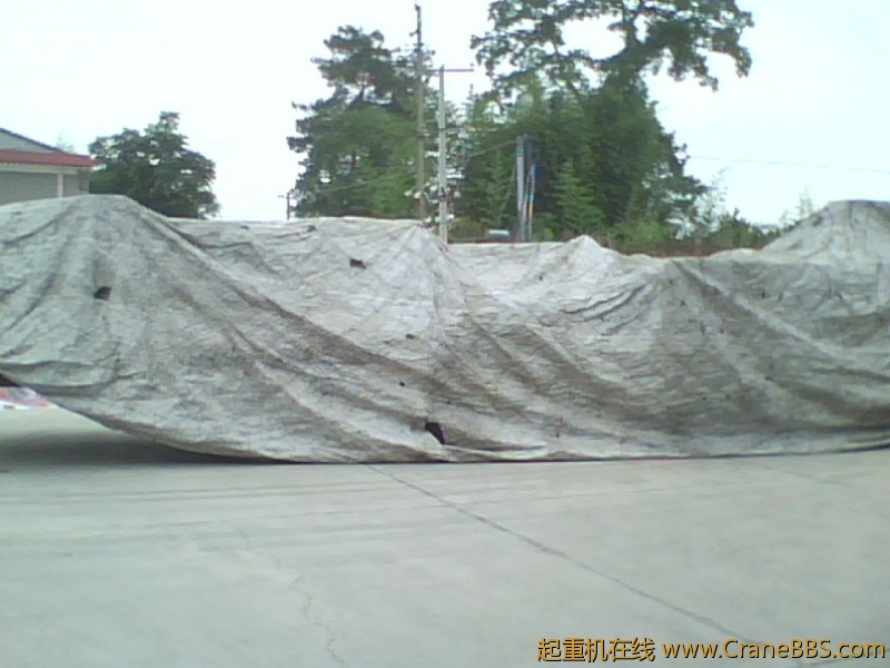 IMG0970A.jpg