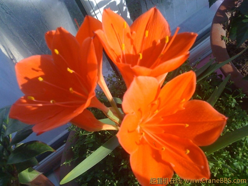 手机照片 5054.jpg