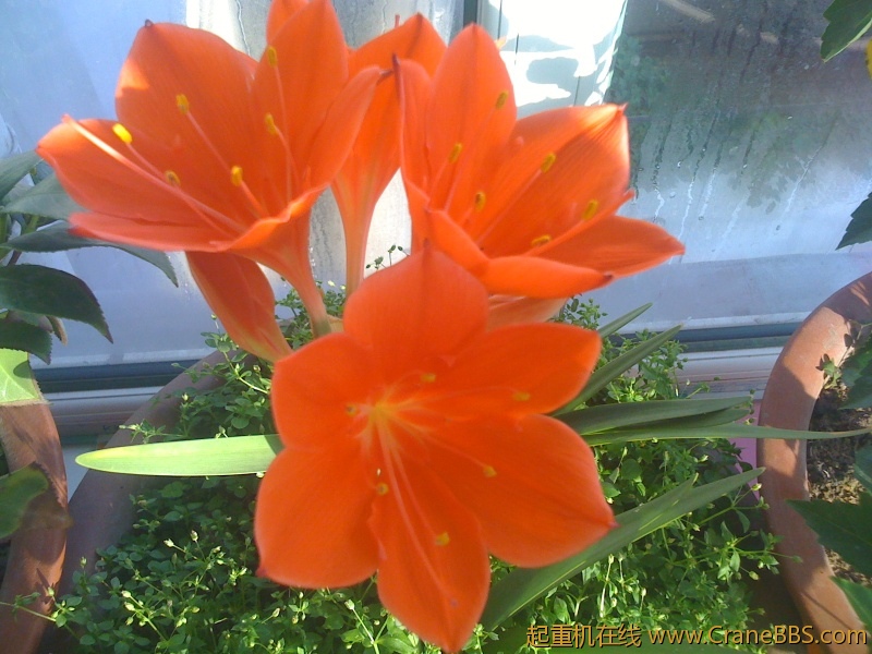 手机照片 5046.jpg