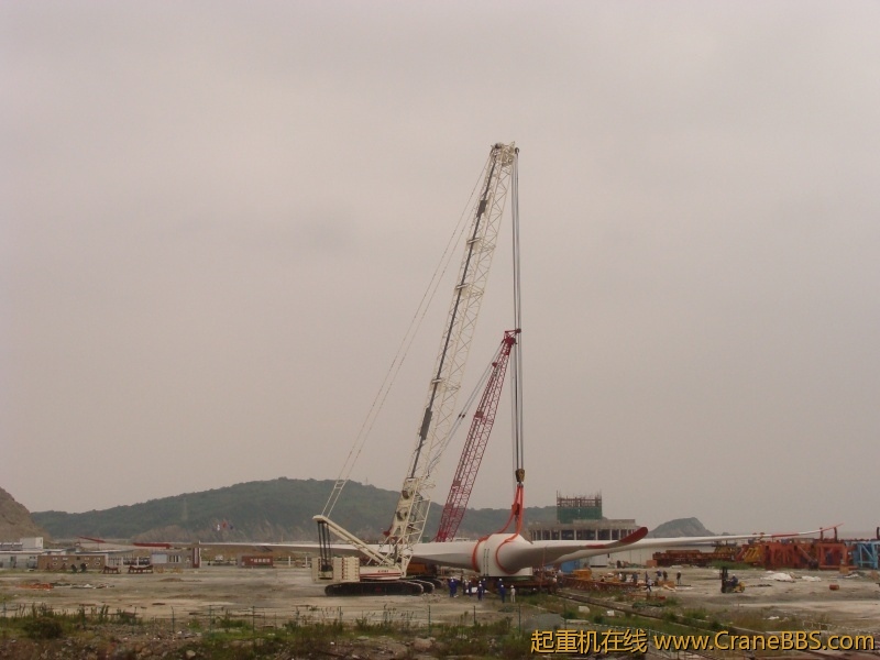 DSC03122.JPG.thumb[1].jpg