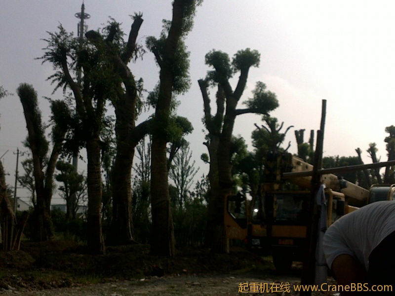 20110913561.jpg