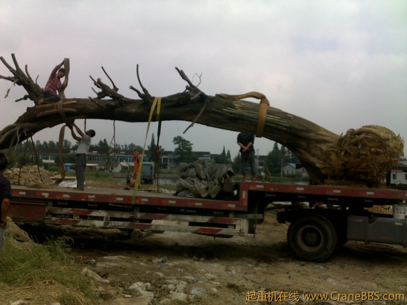 20110913565.jpg