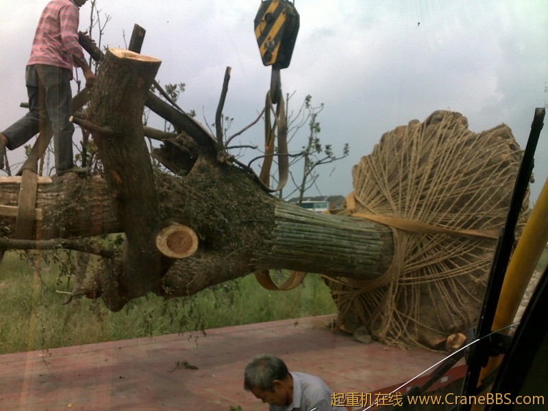20110913567.jpg