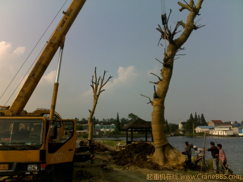 20110913574.jpg