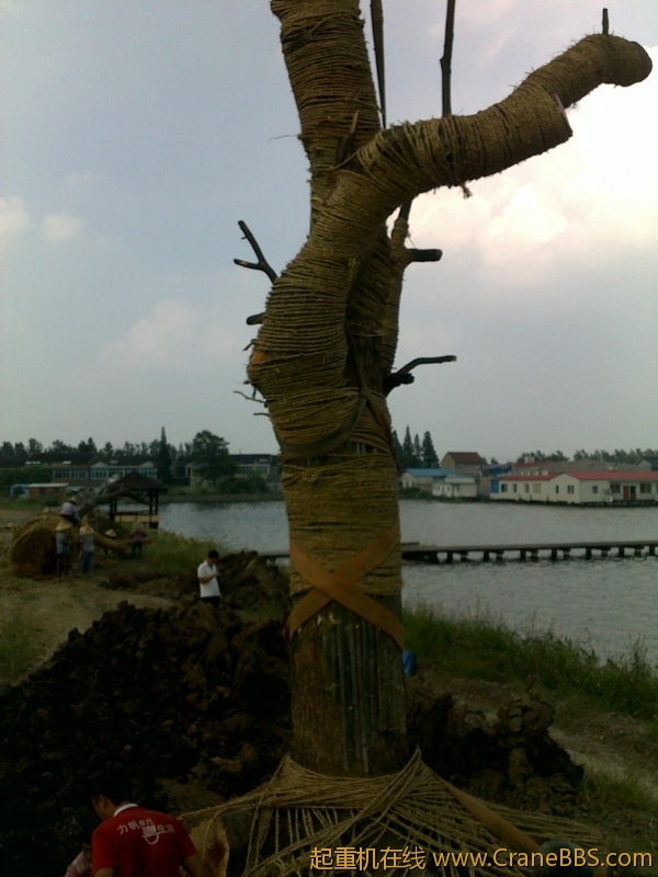 20110913570.jpg