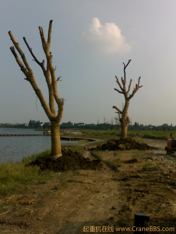 20110913573.jpg