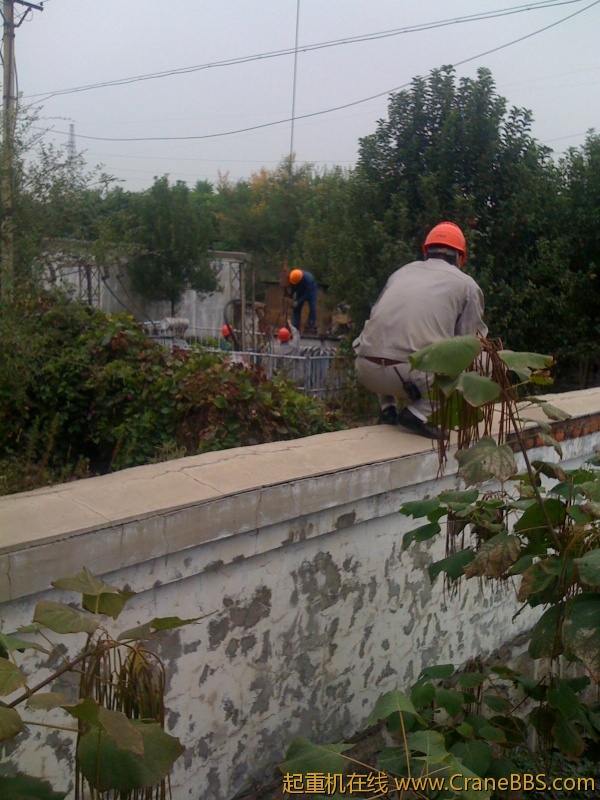 手机照片 5075.jpg