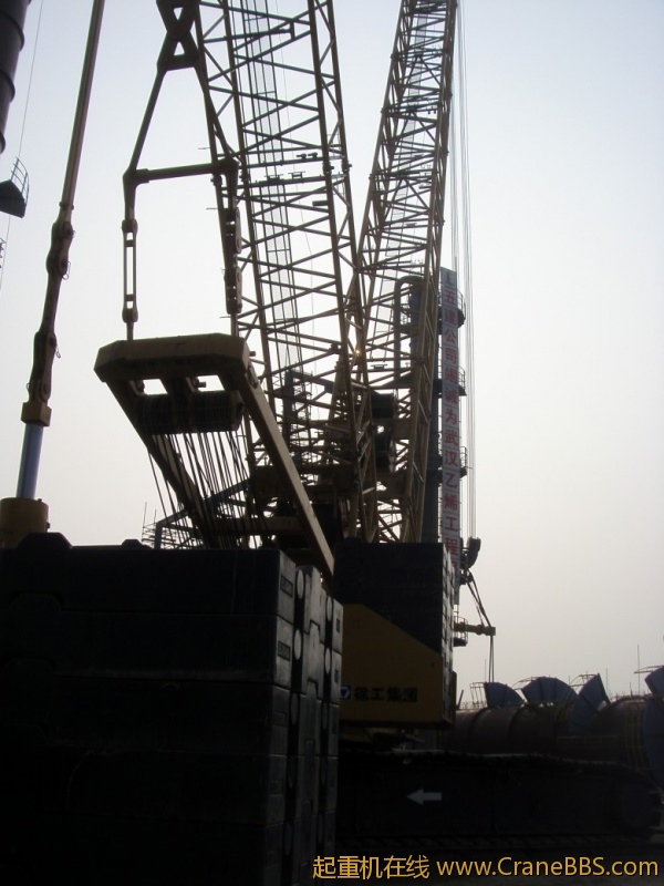 S73F2671_conew1.JPG