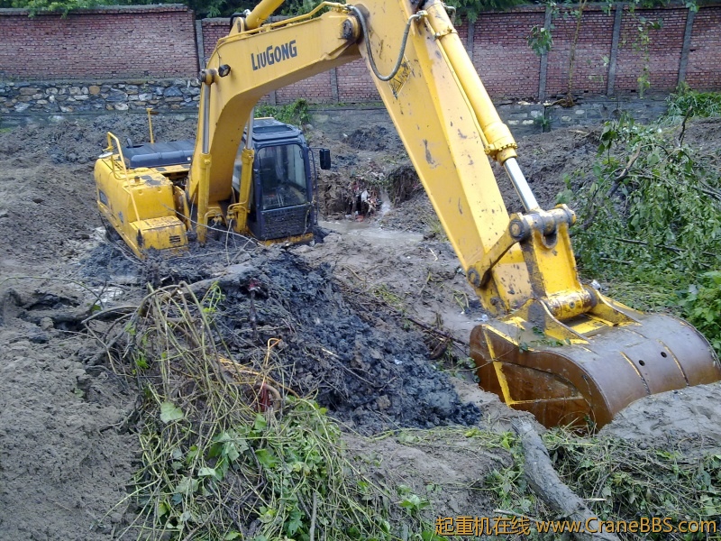 20110913010.jpg