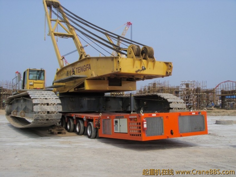 S73F2798_conew1.JPG