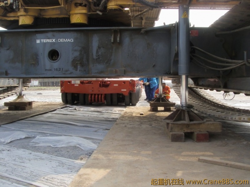 S73F2796_conew1.JPG
