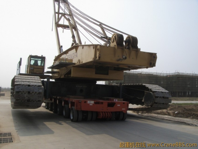 S73F2814_conew1.JPG