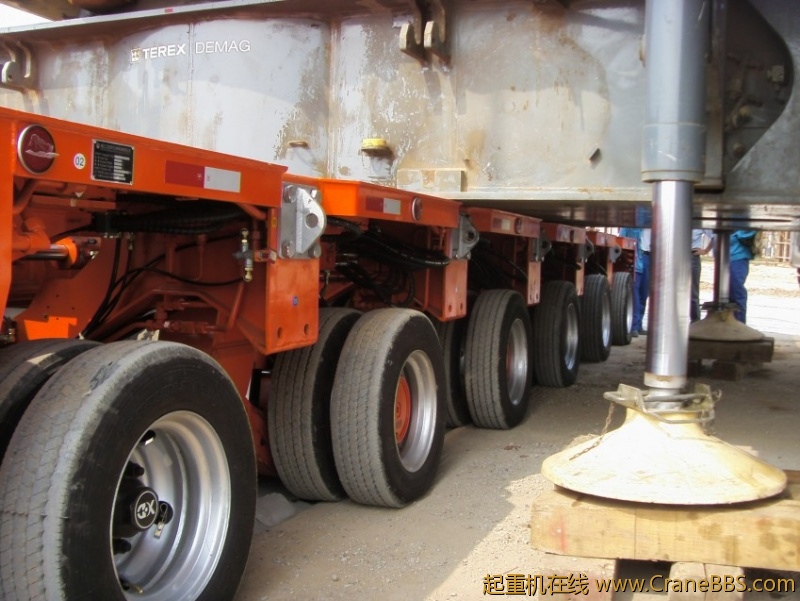S73F2803_conew1.JPG
