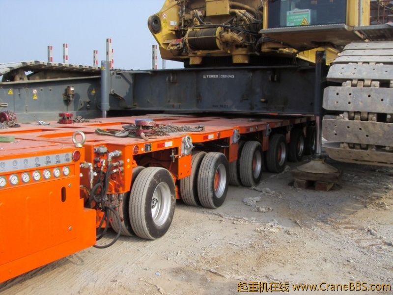 S73F2818_conew1.JPG