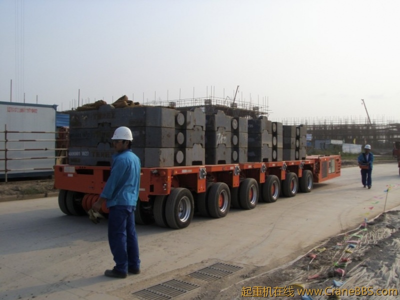 S73F2819_conew1.JPG