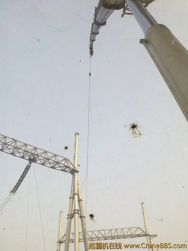 20100804279.jpg