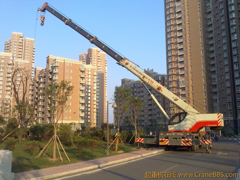 20100821298.jpg