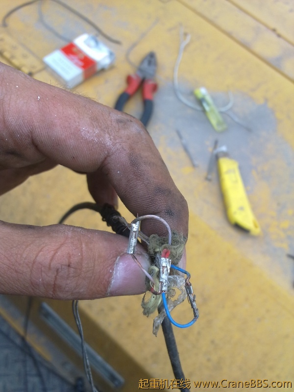 20110918087.jpg