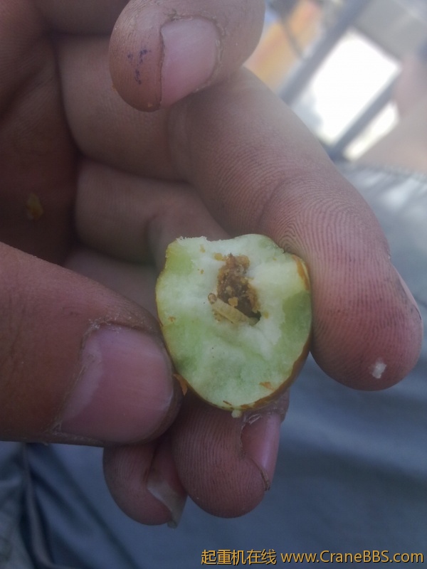 20110904068.jpg