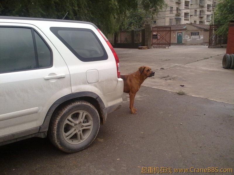 20110918421.jpg
