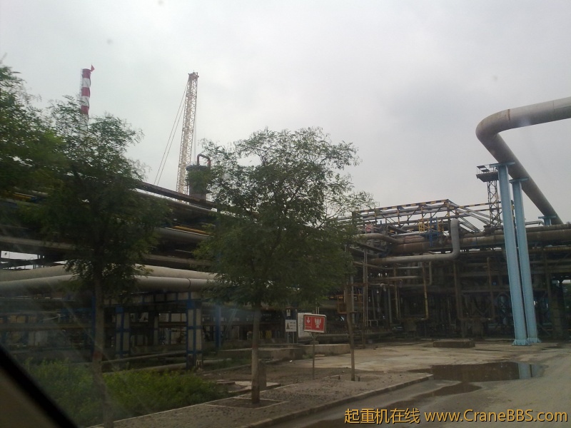 20110918443.jpg