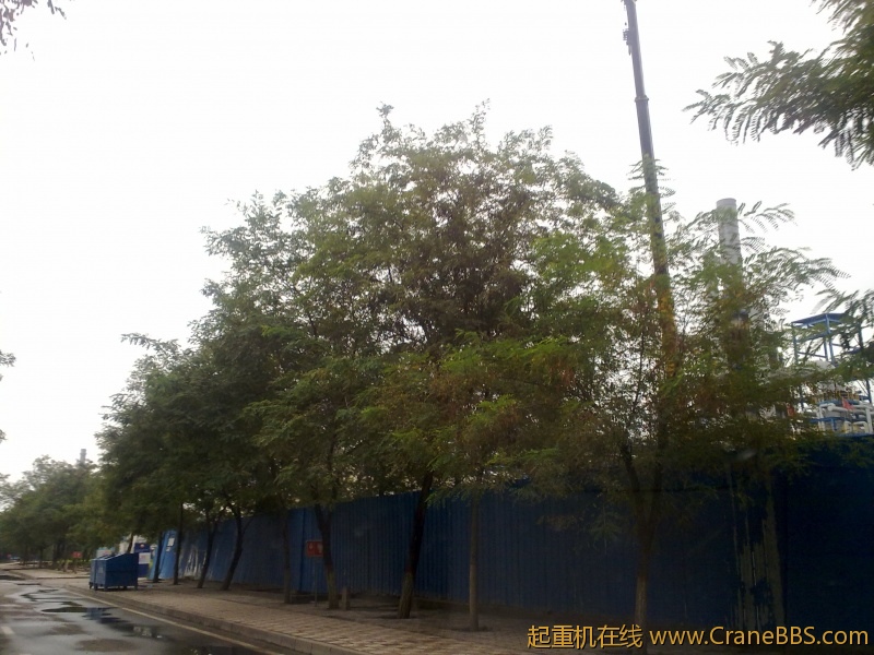 20110918437.jpg