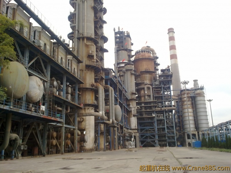 20110918440.jpg