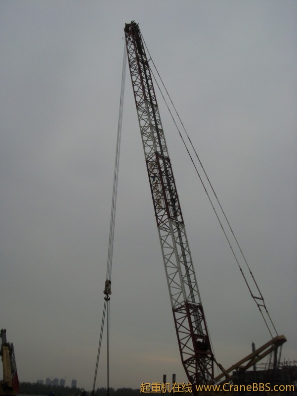 S73F2825_conew1.JPG