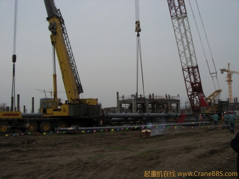 S73F2832_conew1.JPG