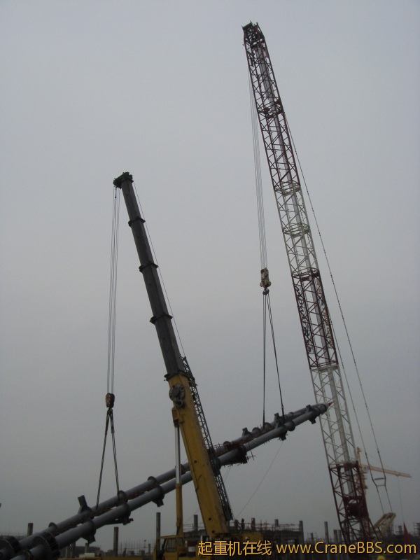 S73F2841_conew1.JPG