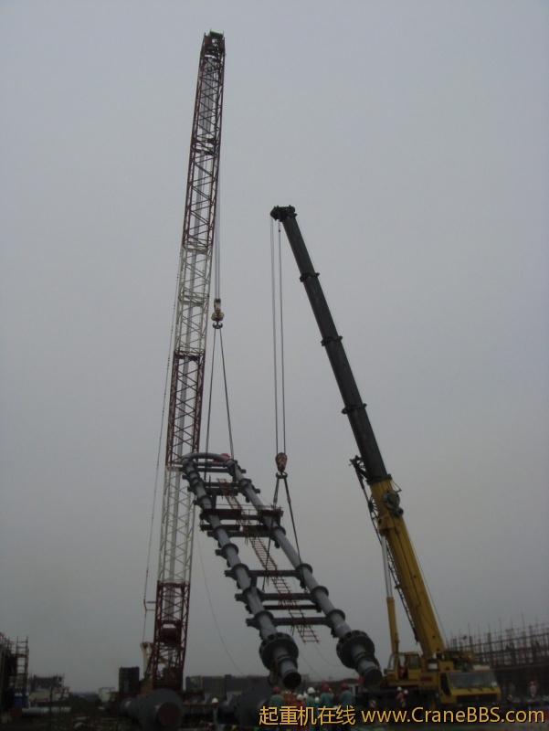 S73F2843_conew1.JPG