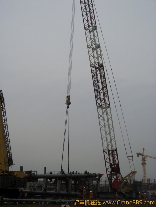 S73F2836_conew1.JPG