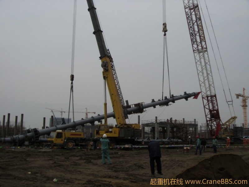 S73F2839_conew1.JPG
